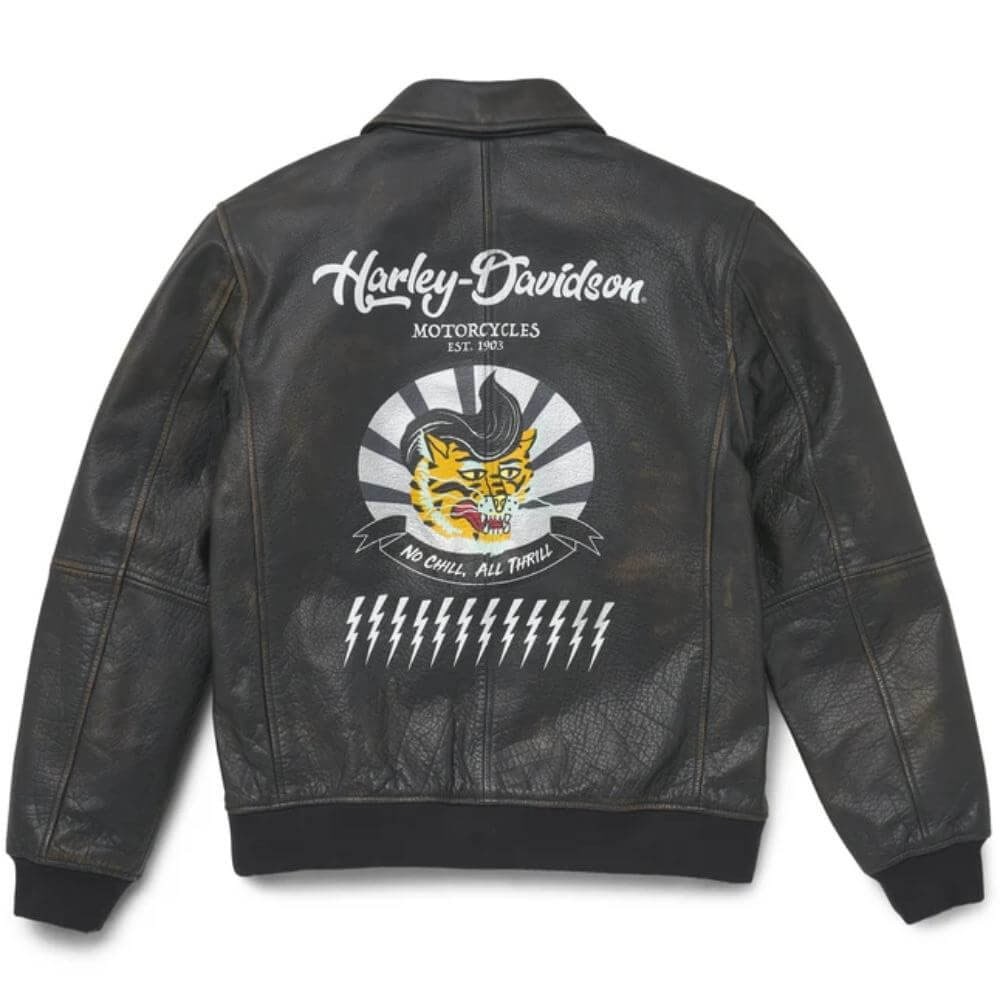 Harley-Davidson Men's Archer Bomber Leather Jacket