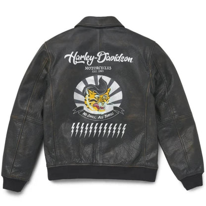 Harley-Davidson Men's Archer Bomber Leather Jacket