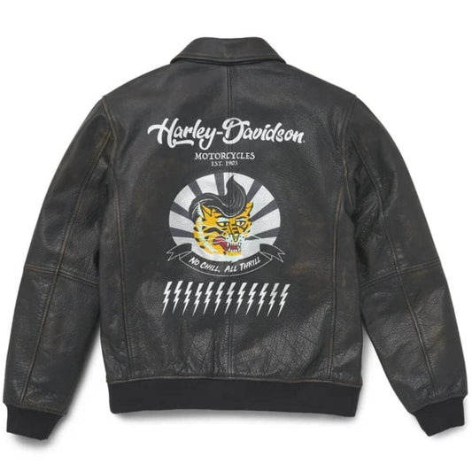 Harley-Davidson Men's Archer Bomber Leather Jacket